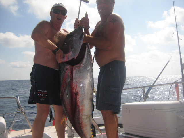 tuna fishing trips mallorca