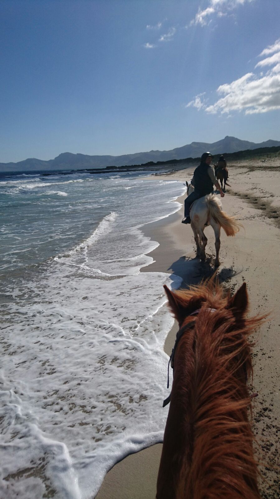 Horse riding trips mallorca