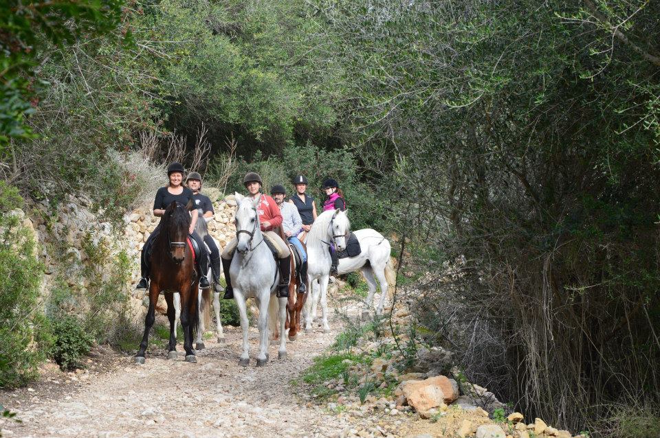 paardrijden Mallorca