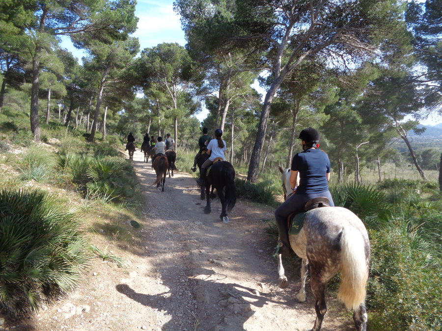 Balade cheval majorque