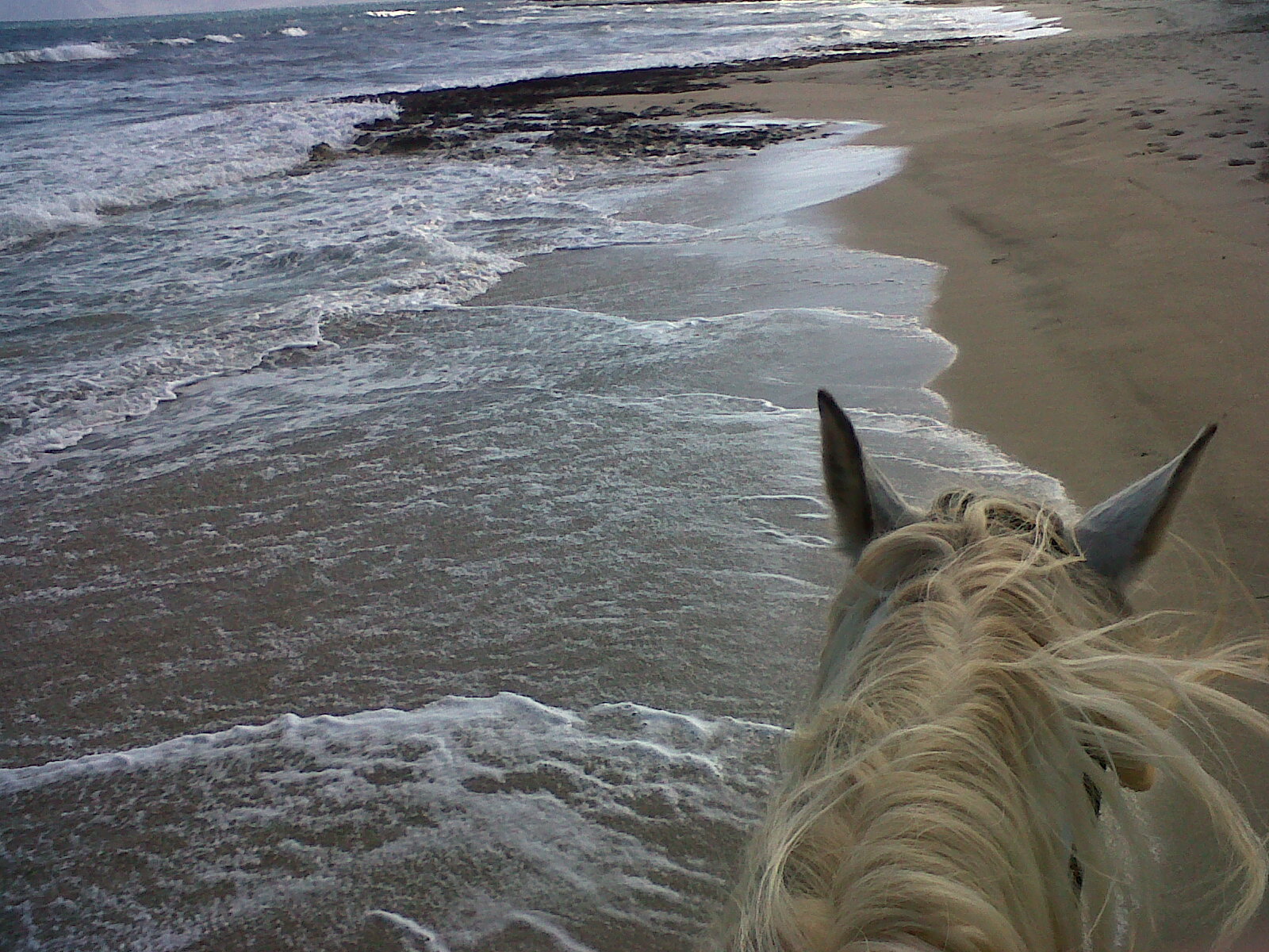 Majorque balade cheval