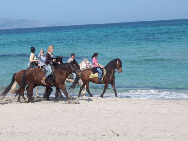 Balade  cheval Majorque