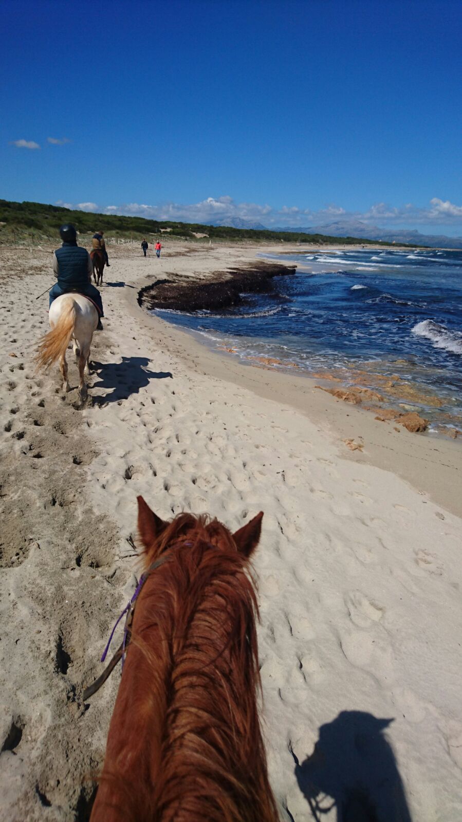 Balades  cheval majorque