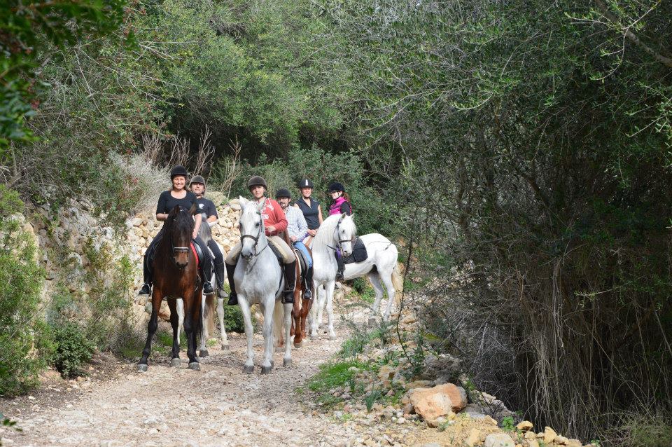 majorque balade a cheval