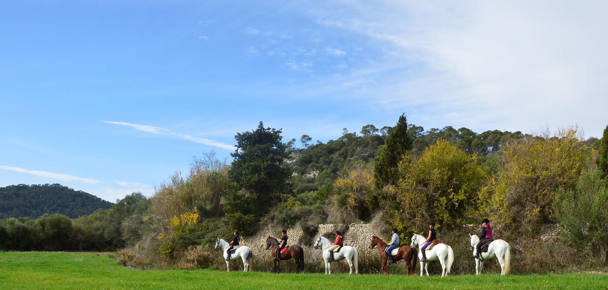 balade cheval majorque