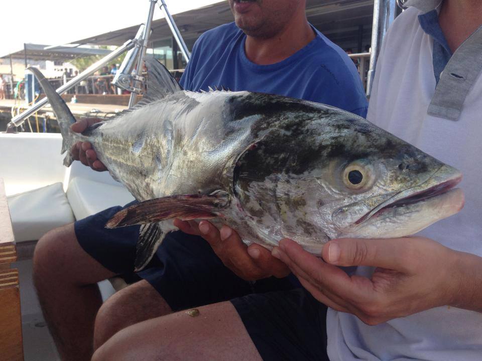 excursion peche majorque