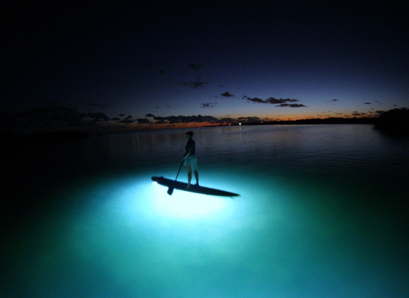 majorque paddle surf