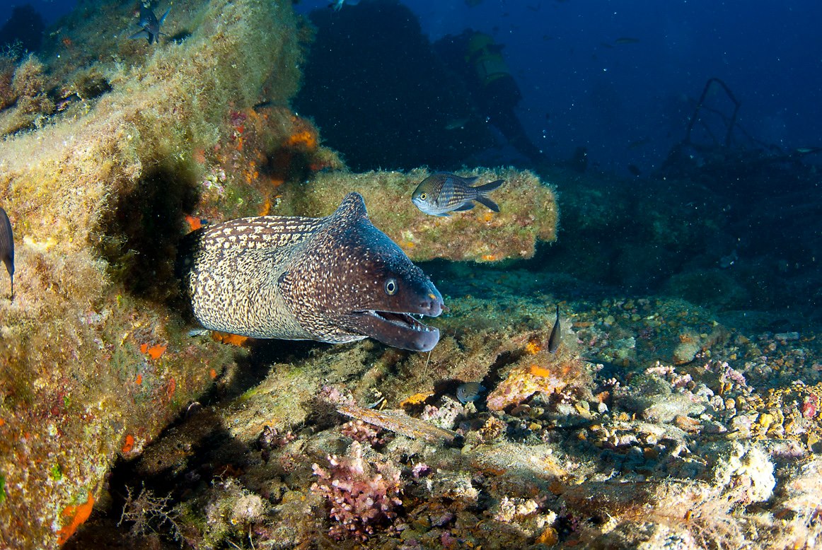 plongee sous-marine majorque