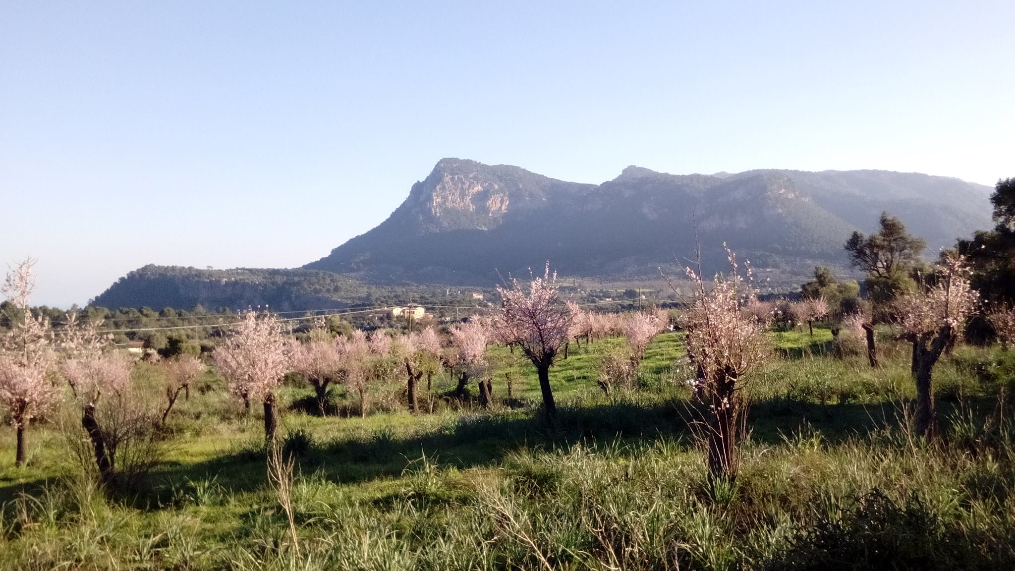 Mallorca hiking