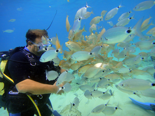 Mallorca Diving