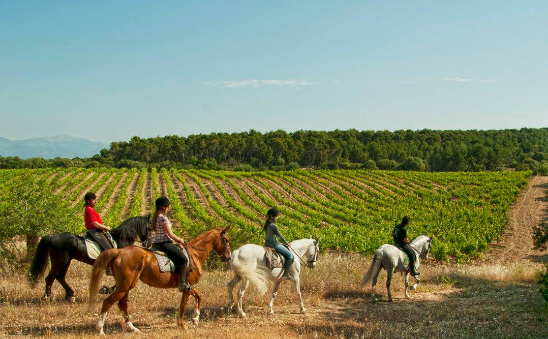 Horse riding trips mallorca